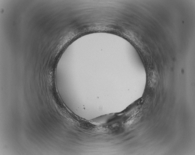 X0000062650111200601040928