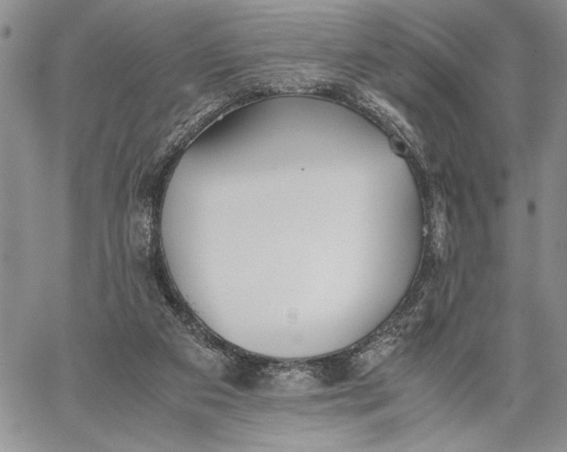 X0000062650113200601040928