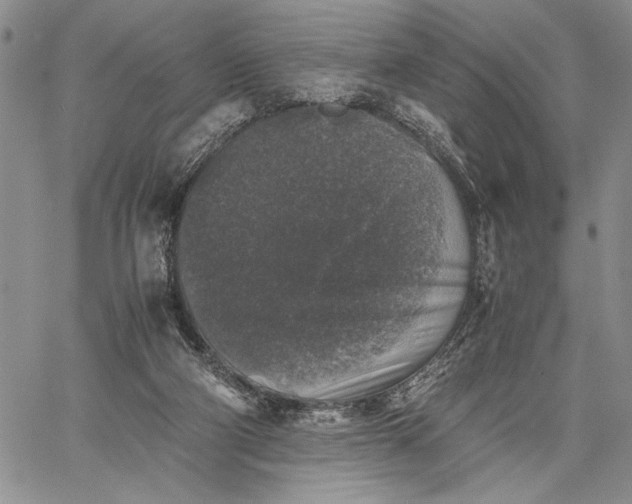 X0000062650114200601040928