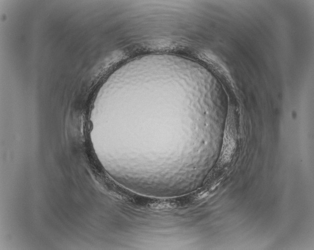 X0000062650115200601040928