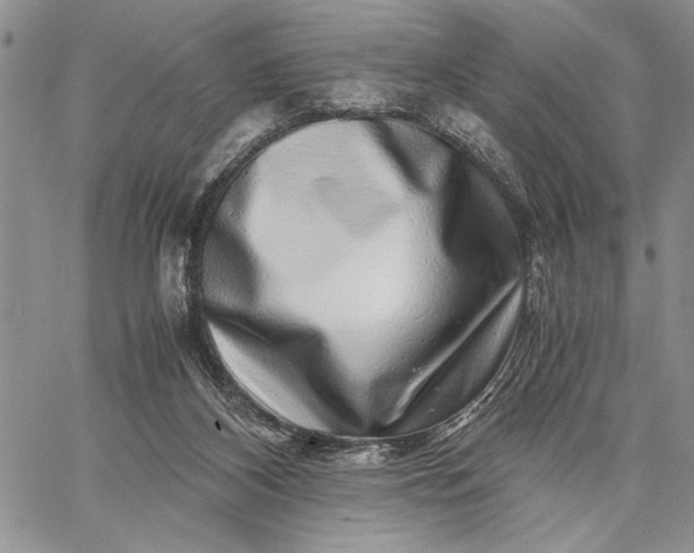 X0000062650116200601040928