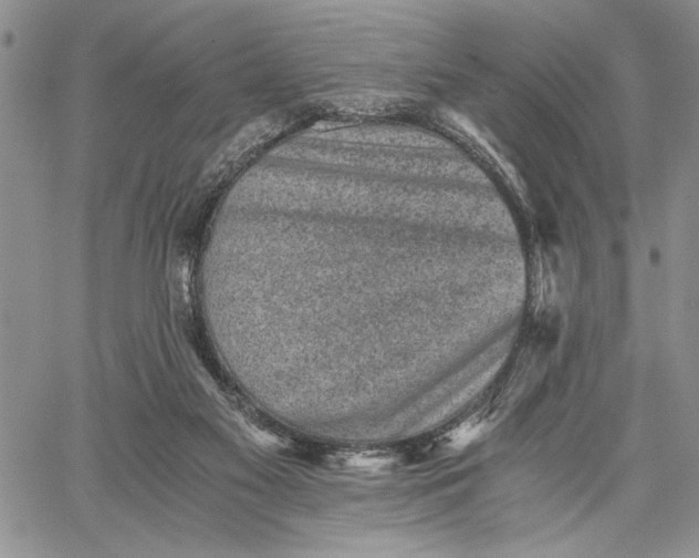 X0000062650117200601040928