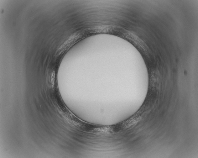 X0000062650118200601040928