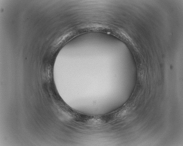 X0000062650119200601040928