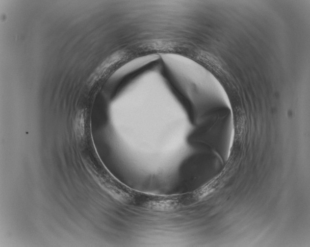 X0000062650120200601040928