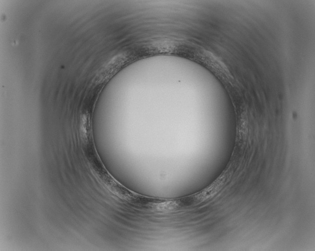 X0000062650122200601040928