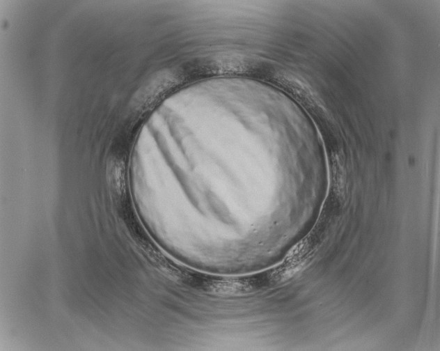 X0000062650123200601040928