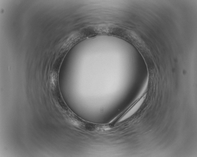 X0000062650125200601040928