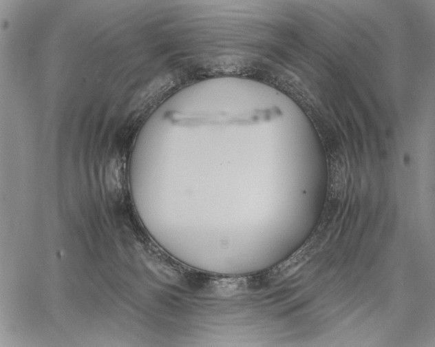 X0000062650126200601040928