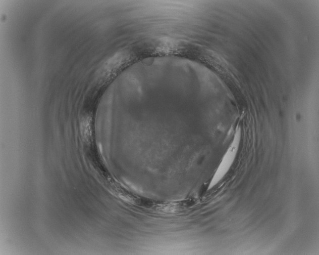 X0000062650127200601040928