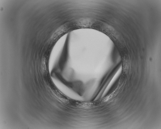 X0000062650128200601040928