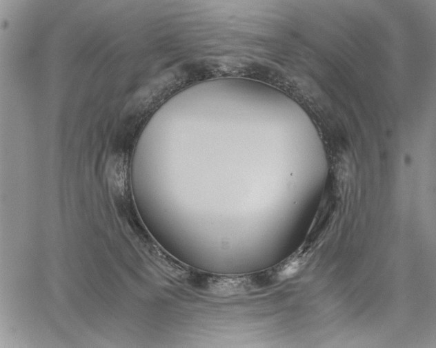 X0000062650129200601040928