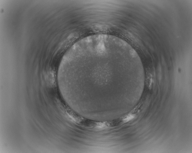 X0000062650130200601040928