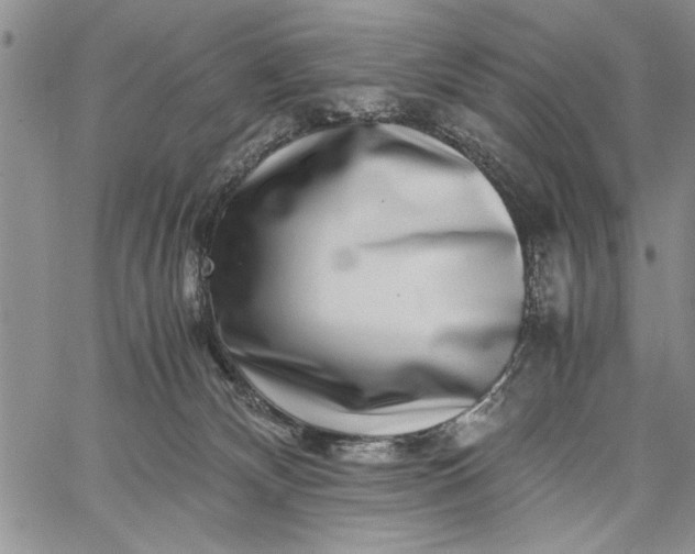 X0000062650132200601040928