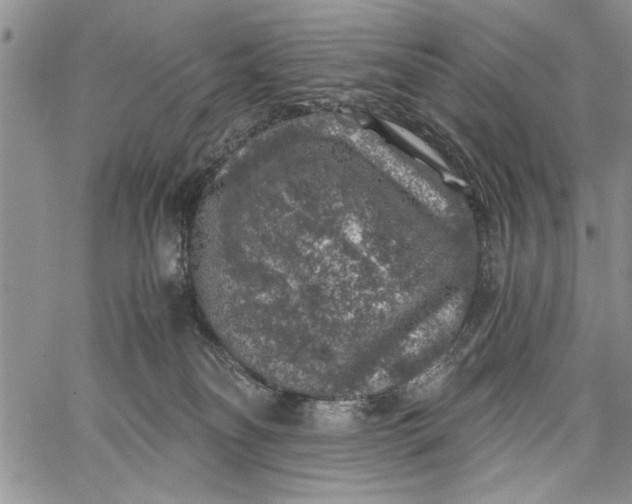 X0000062650134200601040928