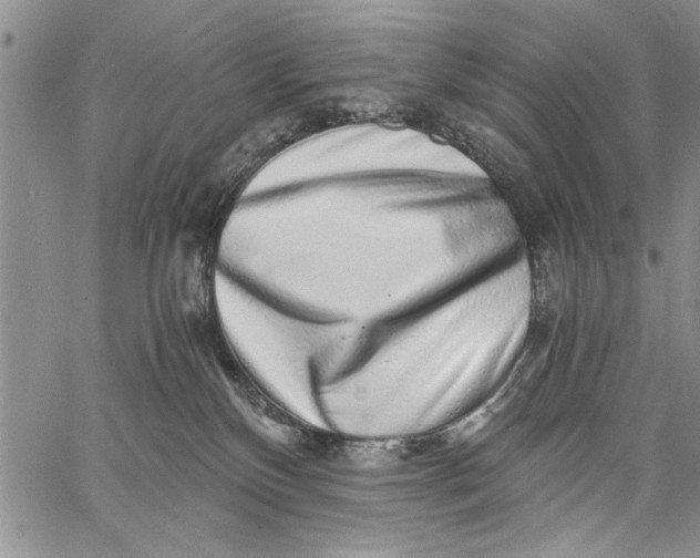 X0000062650136200601040928