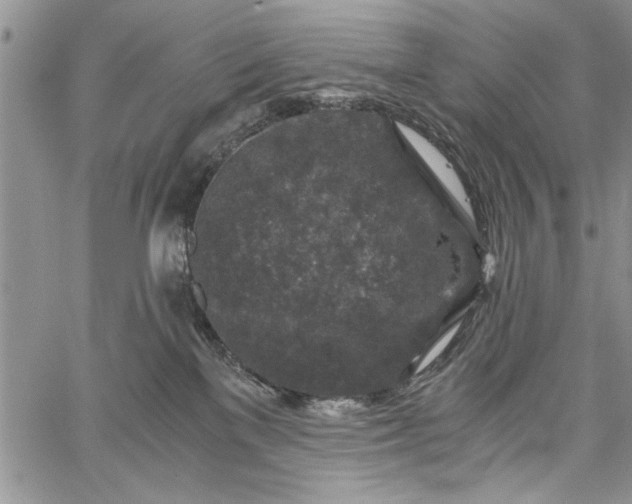 X0000062650137200601040928