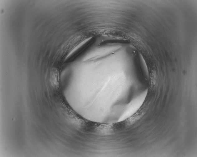 X0000062650138200601040928