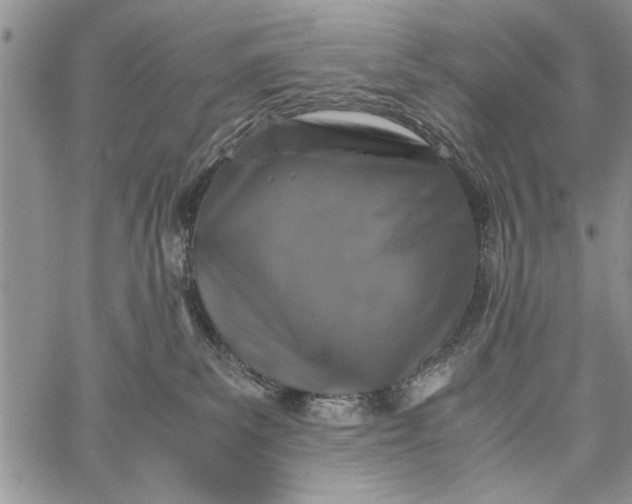 X0000062650139200601040928