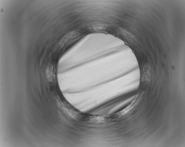 X0000062650140200601040928