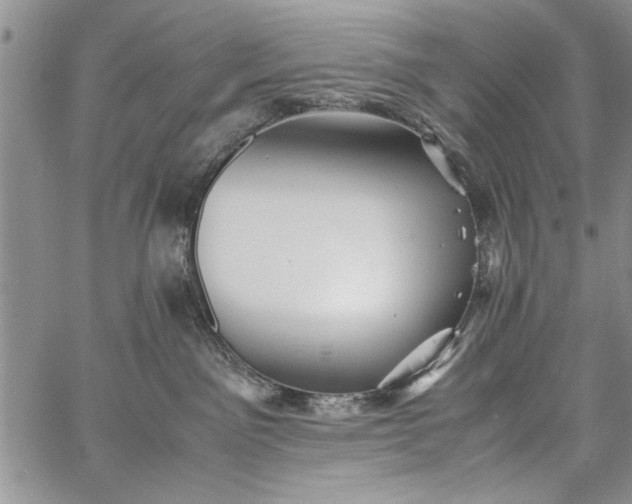 X0000062650141200601040928