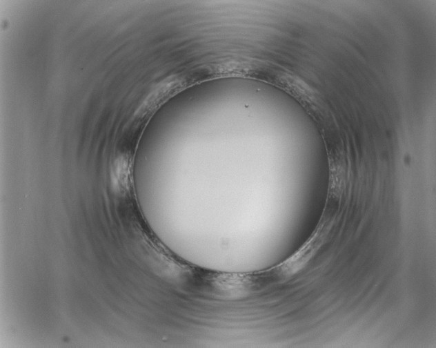 X0000062650142200601040928