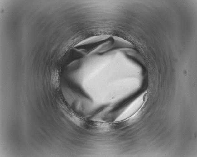 X0000062650144200601040927