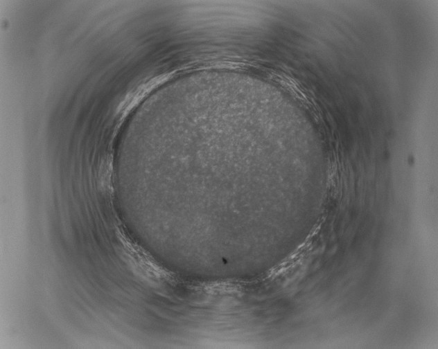 X0000062650146200601040927