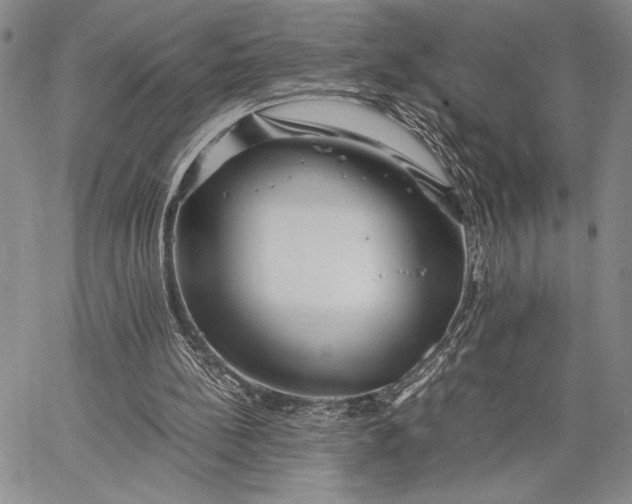 X0000062650148200601040927