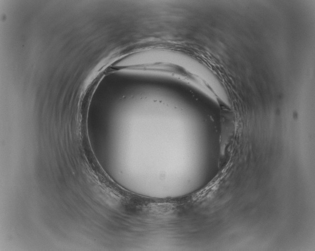 X0000062650150200601040927