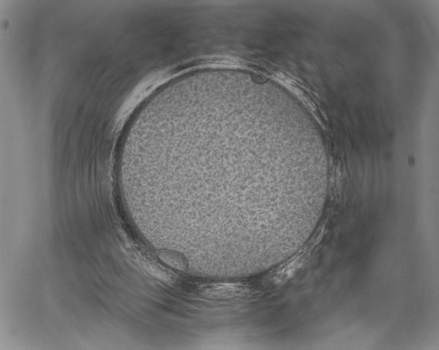 X0000062650151200601040927