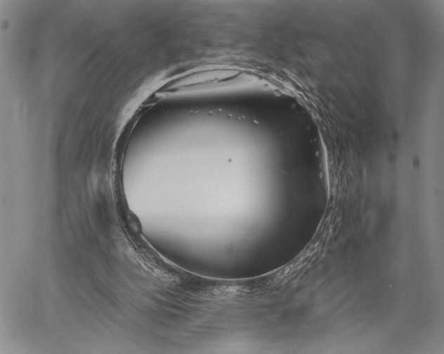 X0000062650152200601040927