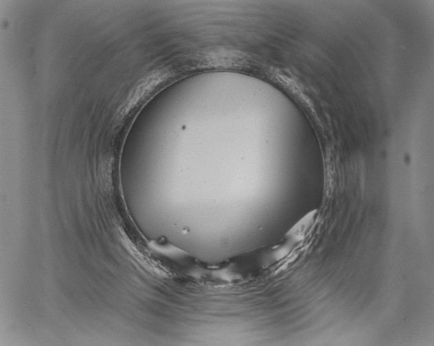 X0000062650154200601040927