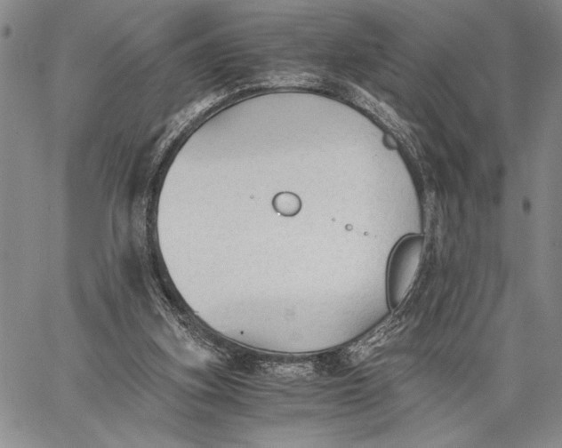 X0000062650155200601040927