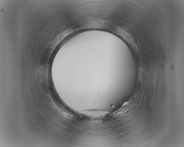 X0000062650156200601040927