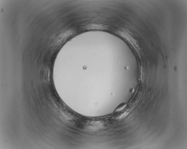 X0000062650157200601040927