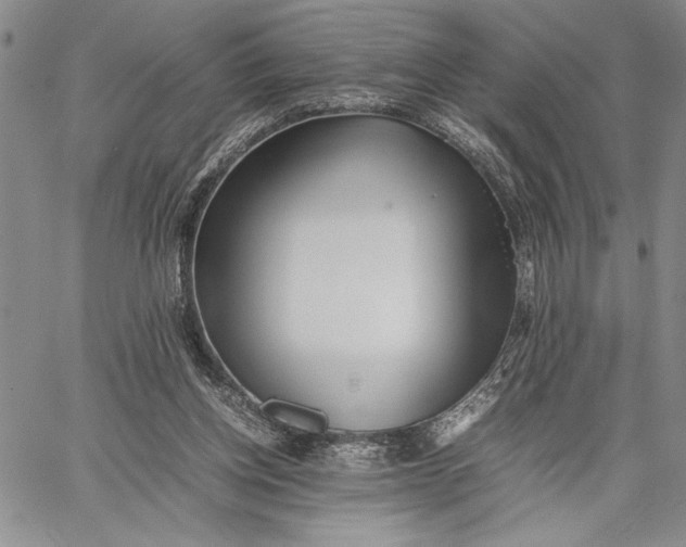 X0000062650158200601040927