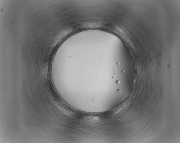 X0000062650159200601040927