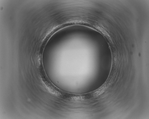 X0000062650160200601040927