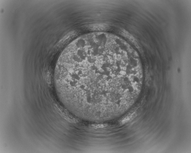 X0000062650161200601040927