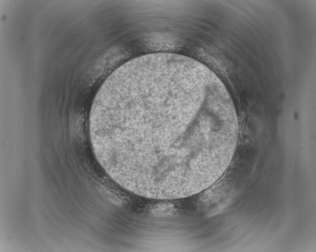 X0000062650162200601040927