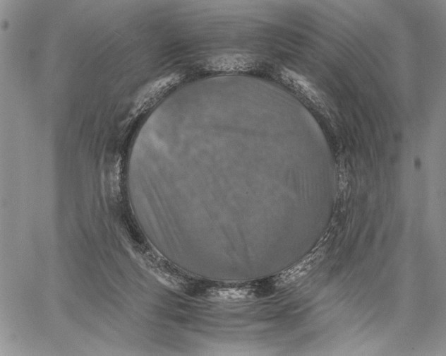 X0000062650163200601040927