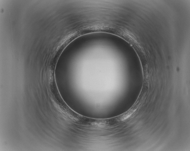 X0000062650164200601040927