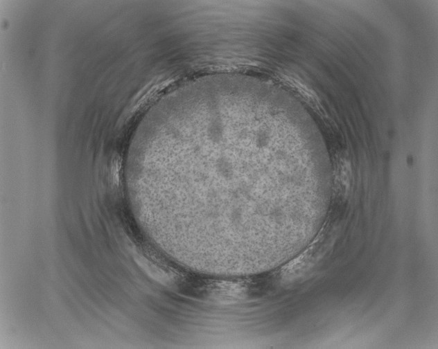 X0000062650166200601040927