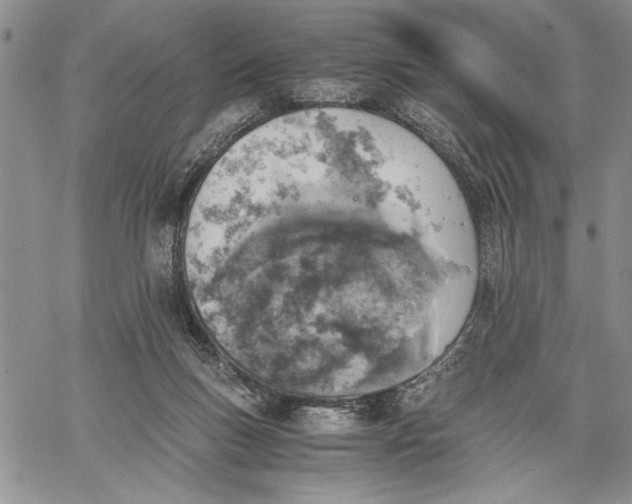 X0000062650167200601040927