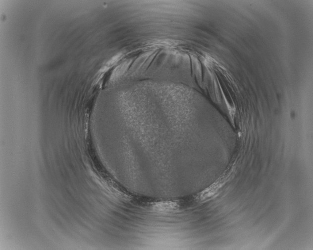 X0000062650168200601040927