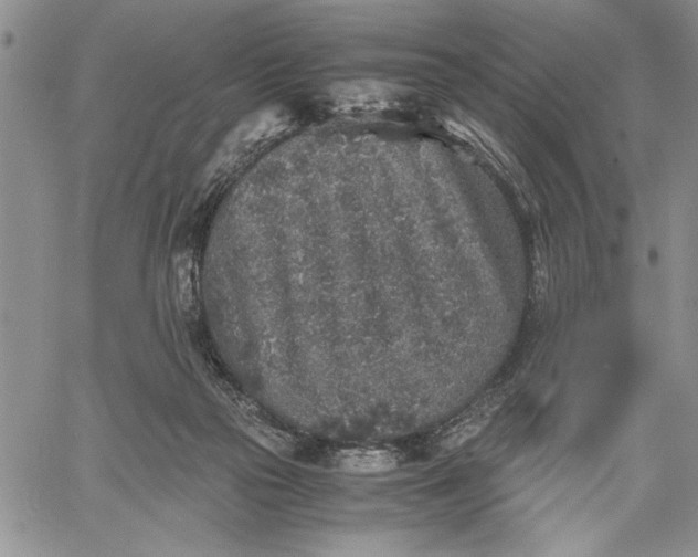 X0000062650169200601040927