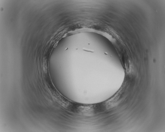 X0000062650170200601040927