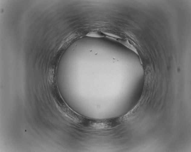 X0000062650171200601040927