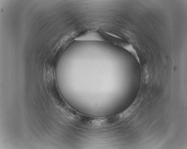 X0000062650172200601040927